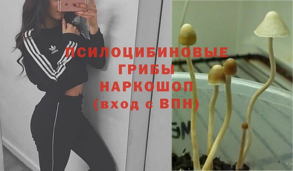 МДПВ Тутаев