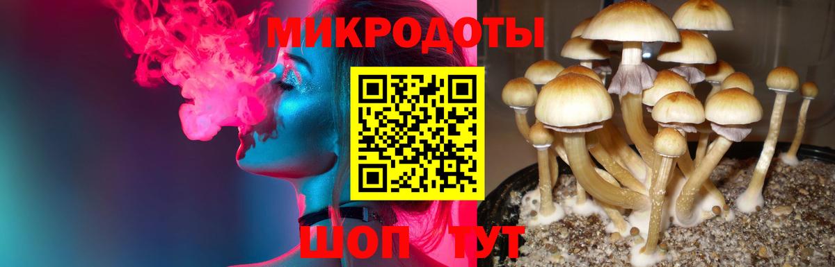 Галлюциногенные грибы GOLDEN TEACHER  Вход с VPN  Симферополь  Псилоцибиновые грибы прущие грибы 